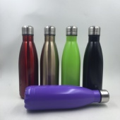 Double Wall Stainless Bottle - 17 Oz