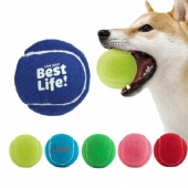 Pets Training Ball