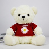 7 inches Teddy Bear with Custom T-shirt